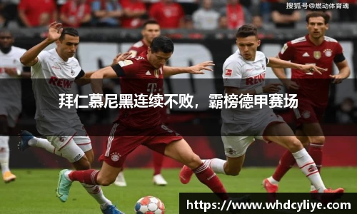 天博·综合体育官网入口