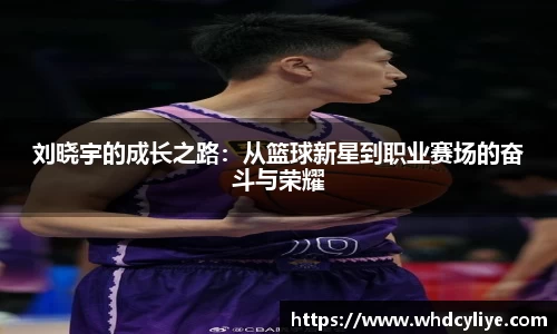 天博·综合体育官网入口