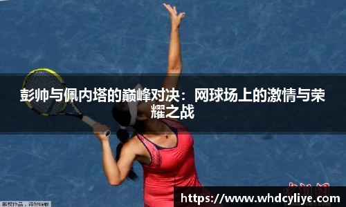 天博TB·体育登录入口