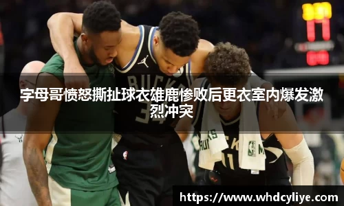 天博TB·体育登录入口