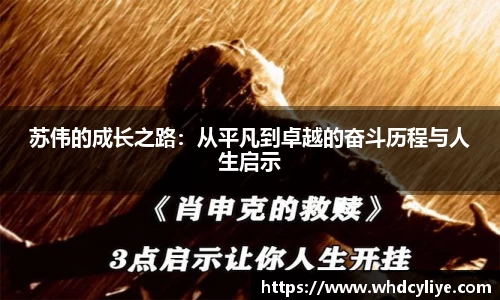 天博·综合体育官网入口