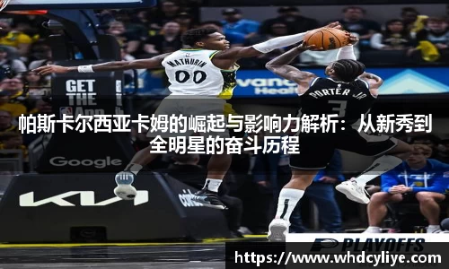 天博·综合体育官网入口