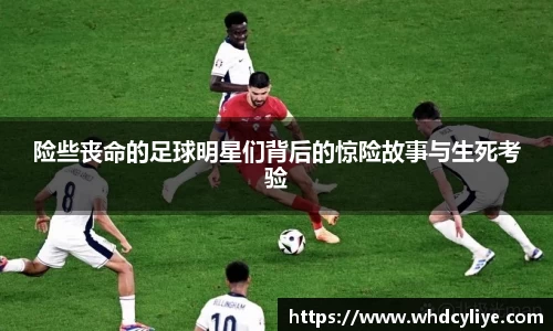 天博·综合体育官网入口